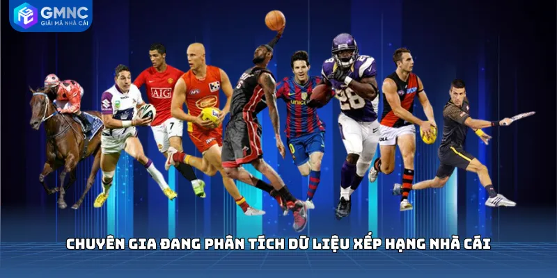 Chuyên gia đang phân tích dữ liệu xếp hạng nhà cái